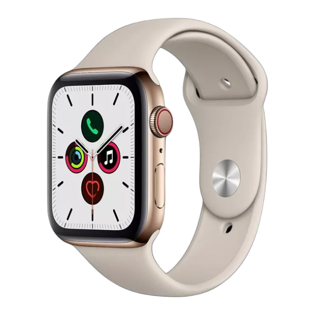 Apple Watch Series 5(Titanium)