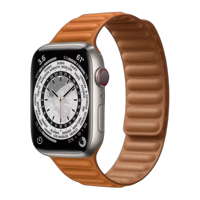 Apple Watch Series 7(Titanium Case)